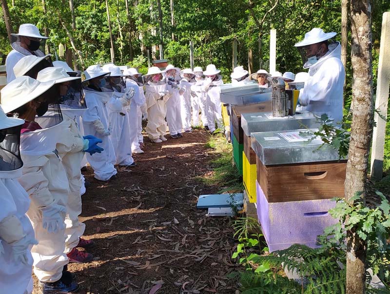 Visitas guiadas “Experiencias apícolas” esta  Semana Santa 2022 en O Rosal