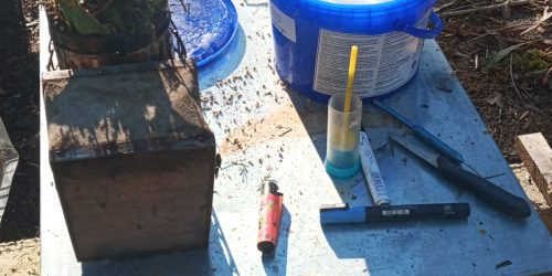 en los primeros dias del año es fundamental la planificación, revisión, alimetación