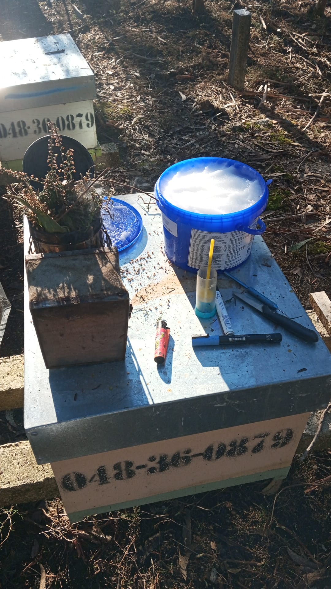 en los primeros dias del año es fundamental la planificación, revisión, alimetación